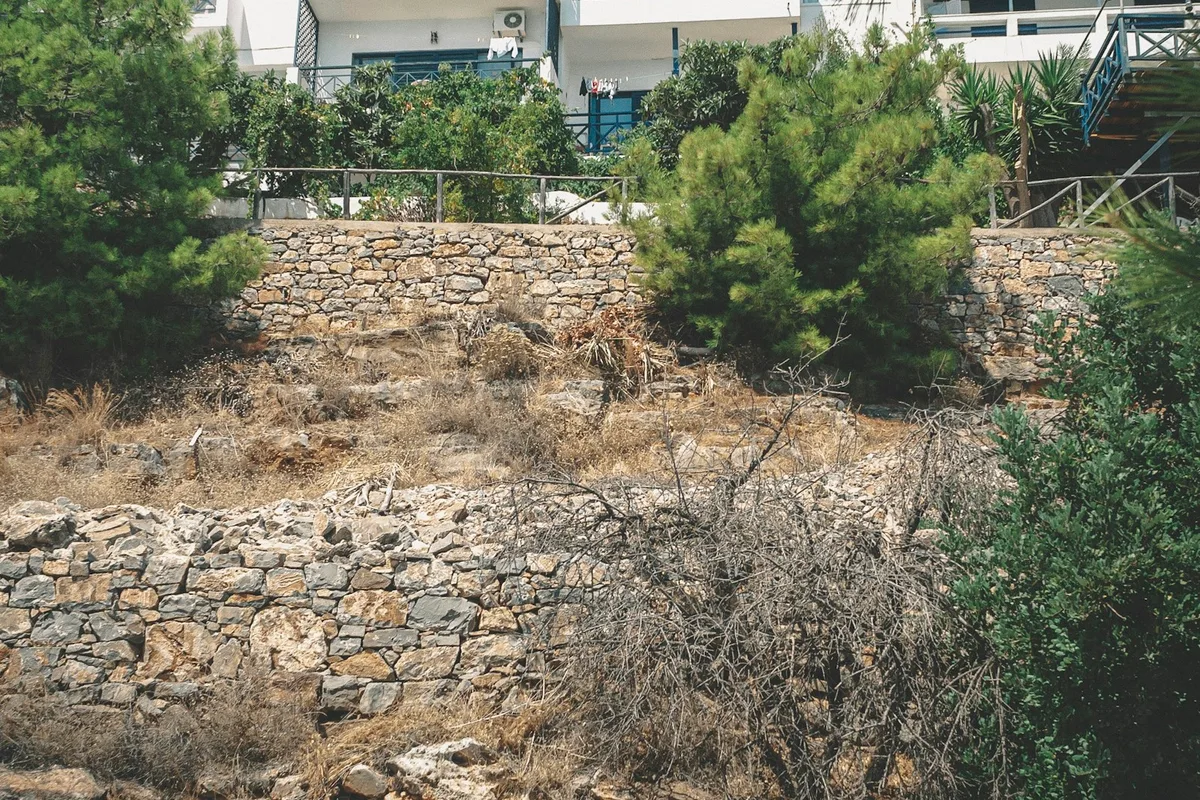 Natural stone walls terracing a planted hillside